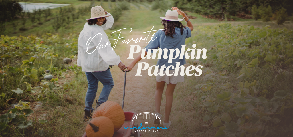 Our Favorite Pumpkin Patches